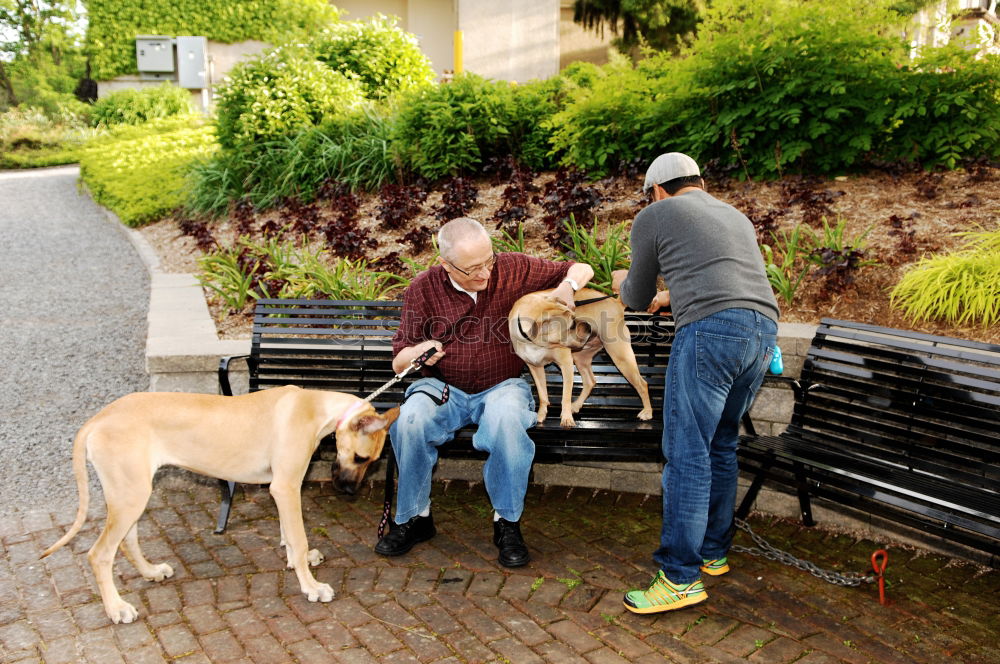 Similar – Woman with dog in the city