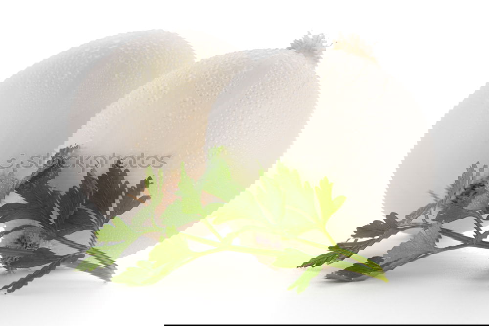 Image, Stock Photo Garlic and rosemary