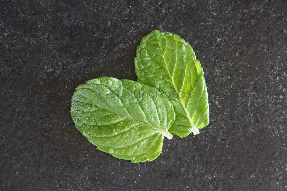 Similar – Image, Stock Photo savoy cabbage Food