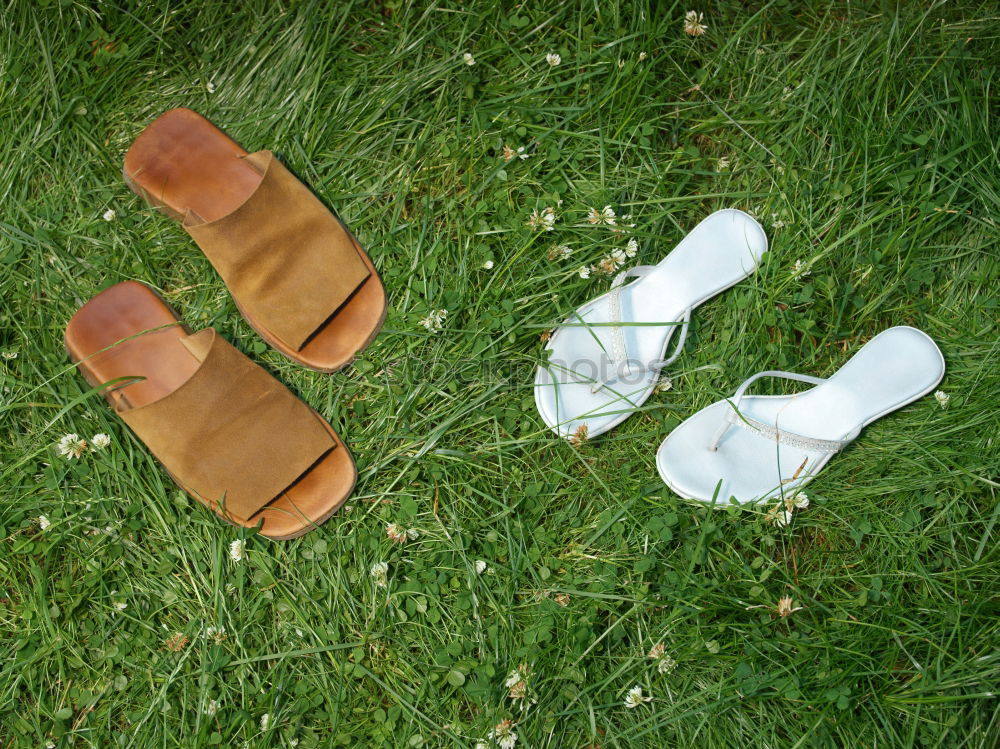 Similar – Rote Kinderschuhe im Gras