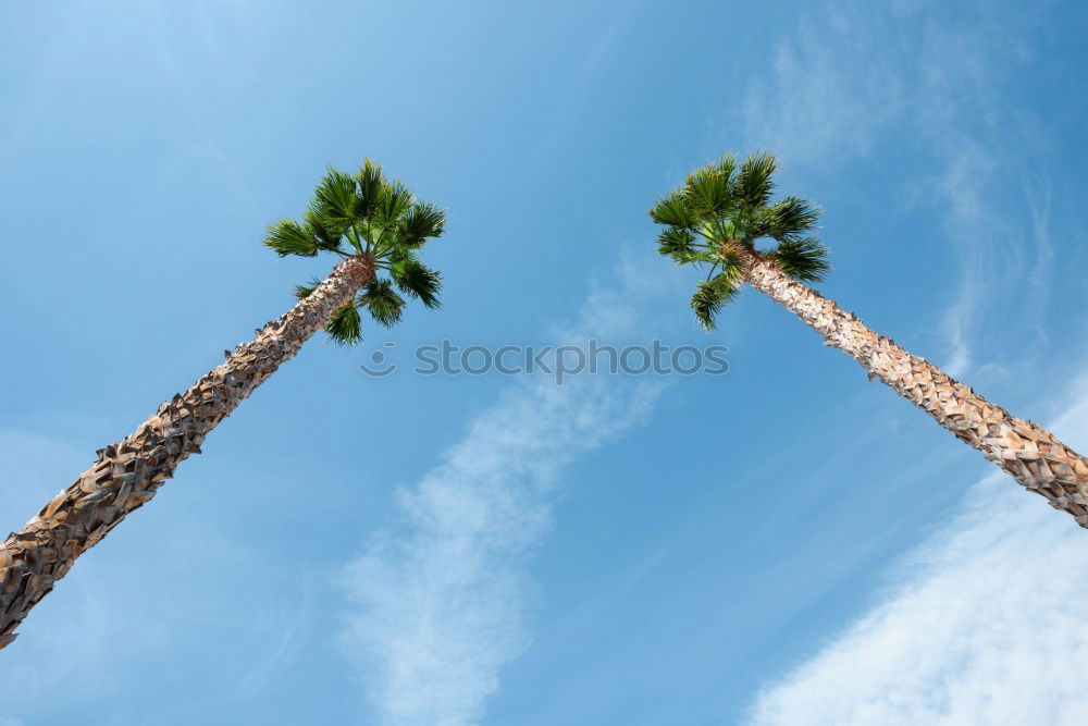 Similar – Image, Stock Photo Landscape of tropical dessert