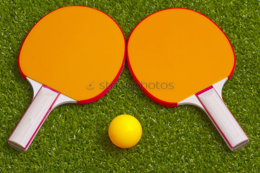 Similar – a badminton ball is lying on a badminton racket in the grass