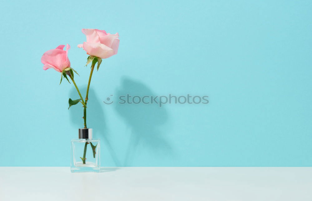 Image, Stock Photo Cosmetic bottle with pipette and flowers