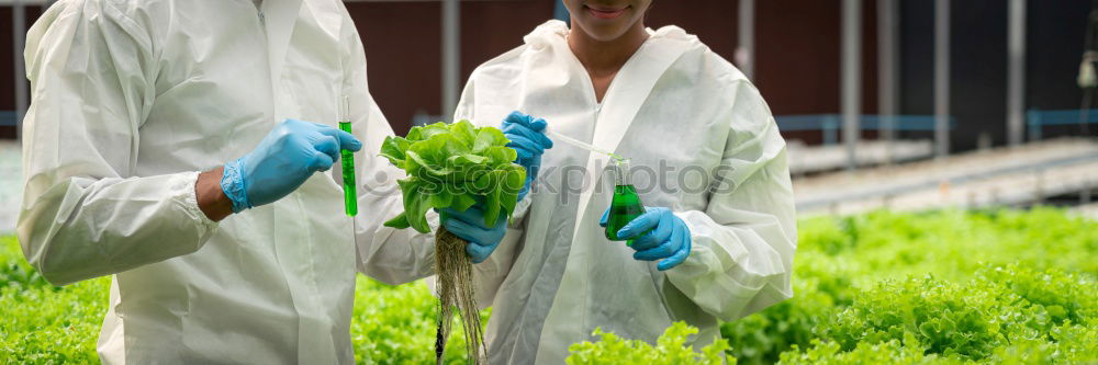 Similar – Image, Stock Photo Harvesting vegetables in agriculture with your hands on the field