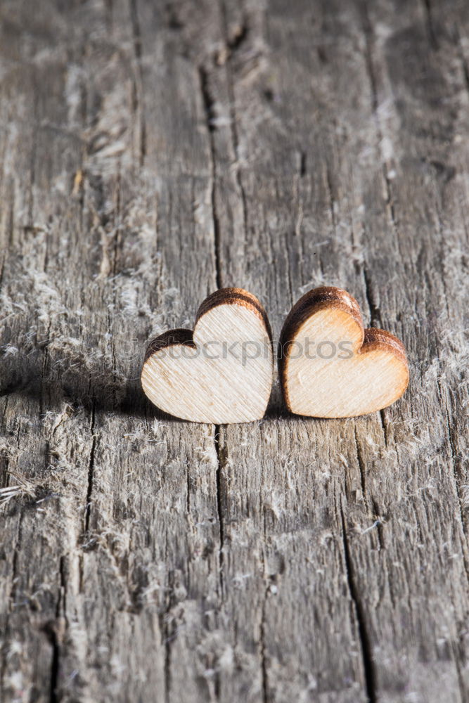 Similar – Image, Stock Photo I love U Tree Wood Sign