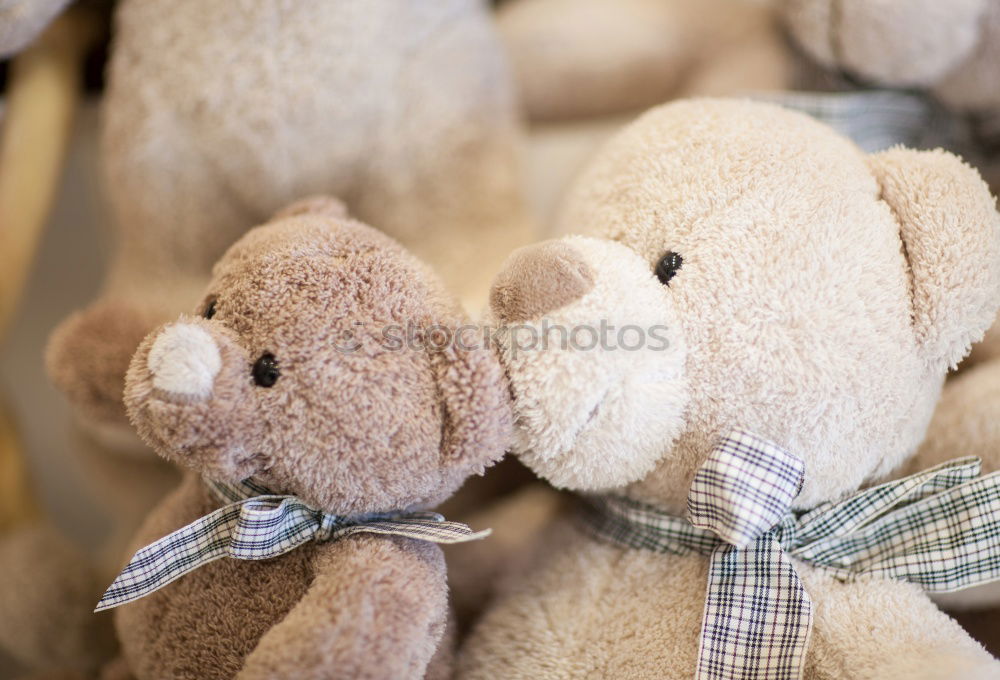 Similar – Image, Stock Photo love of bears Human being