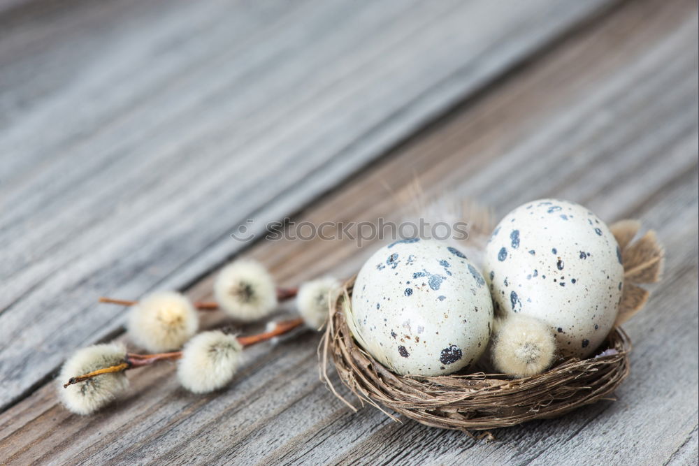 Similar – Image, Stock Photo Group of quail eggs in a gray textile napkin