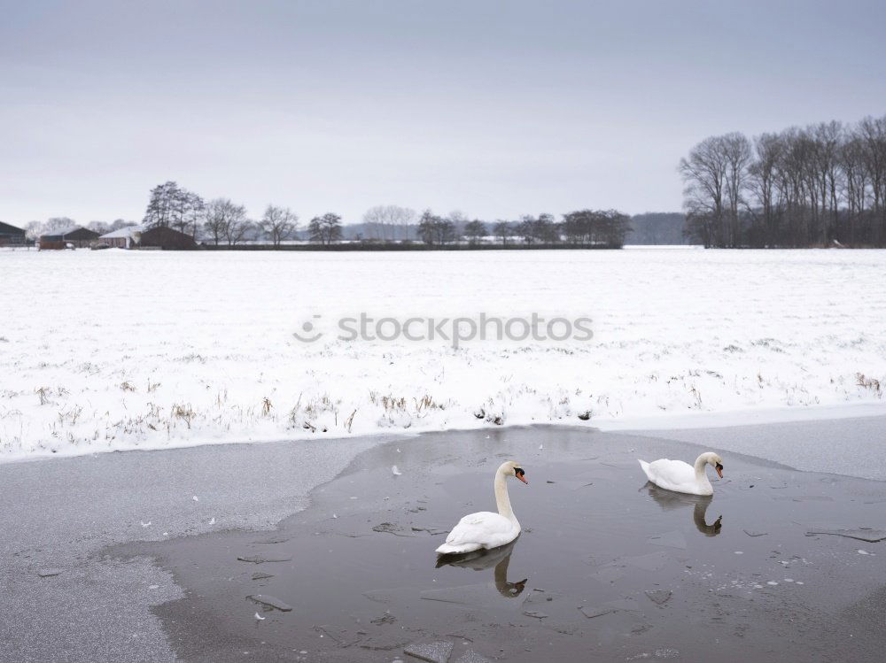 FAR Nature Landscape