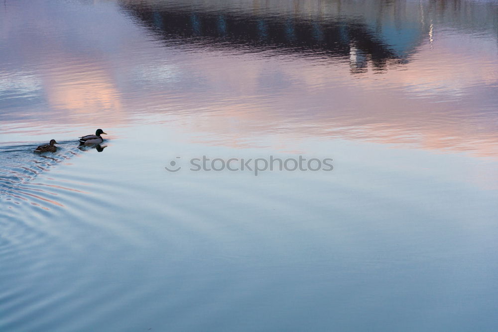 Similar – Image, Stock Photo Streetlight 2 Water