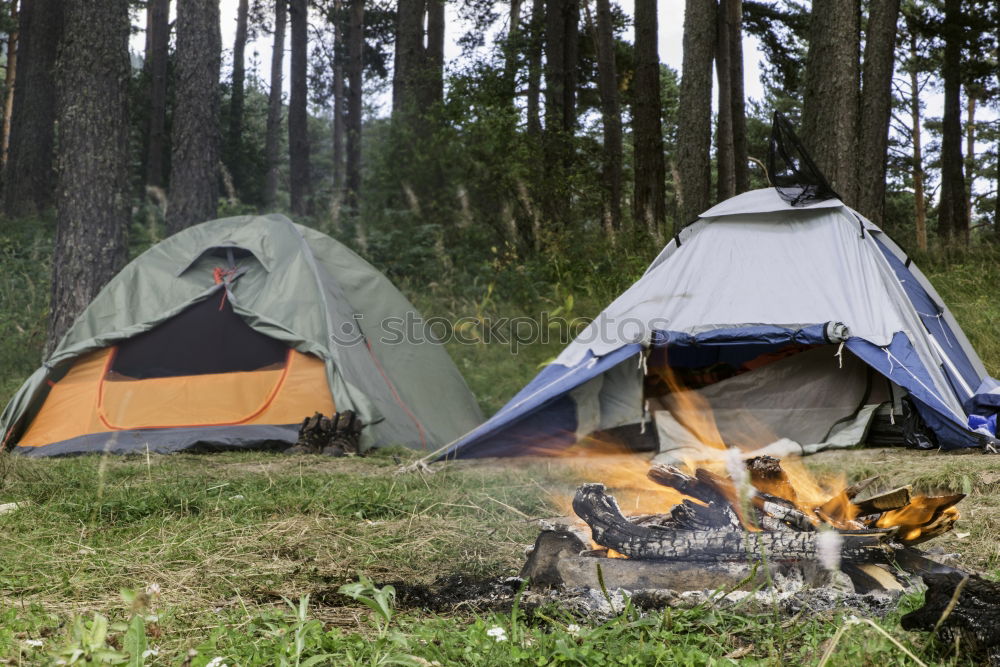 Similar – Orange tent in a pine forest