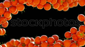 Similar – Image, Stock Photo Clivia 2 Flower Blossom