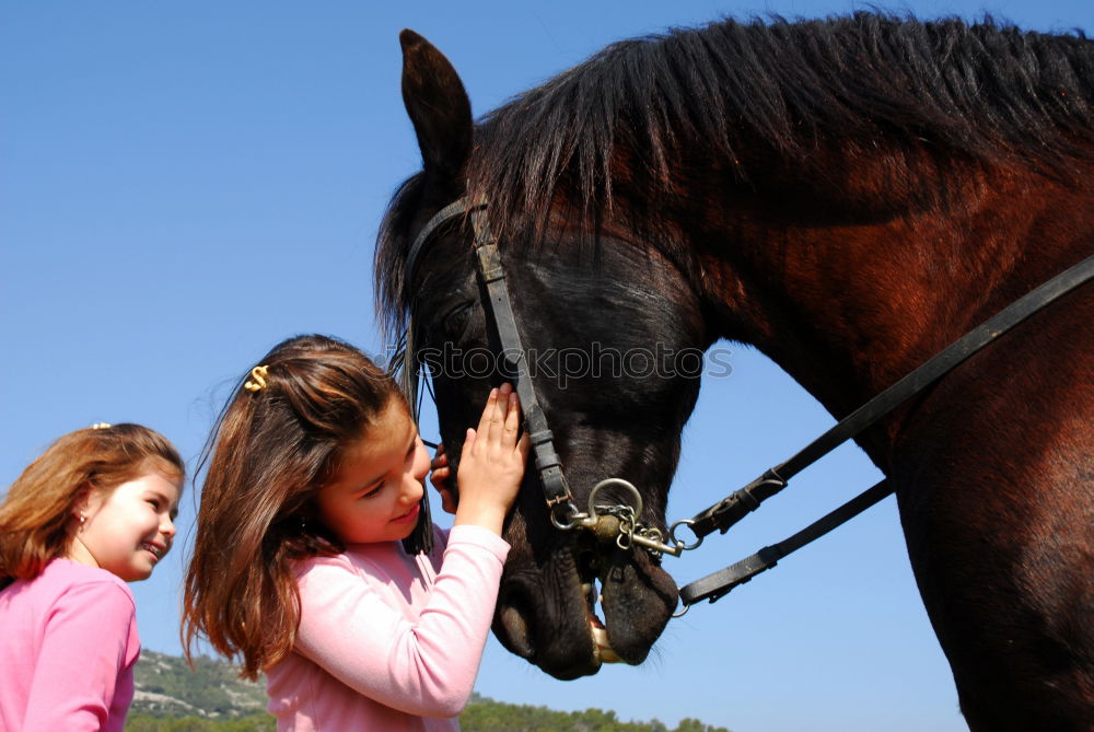 Similar – Image, Stock Photo Beloved quadruped