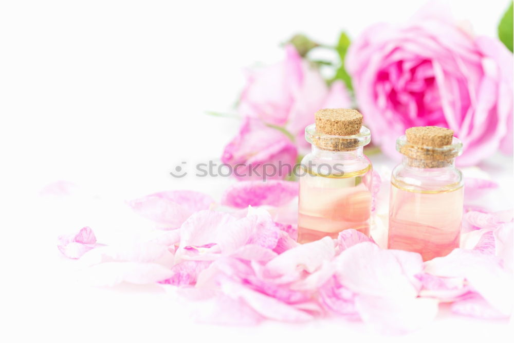 Similar – Image, Stock Photo Roses in grey bowl with water and cream