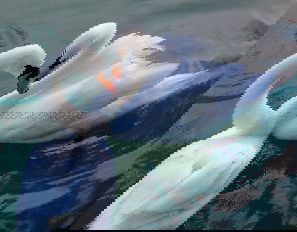 Similar – Image, Stock Photo Storm warning!!!!!! Green