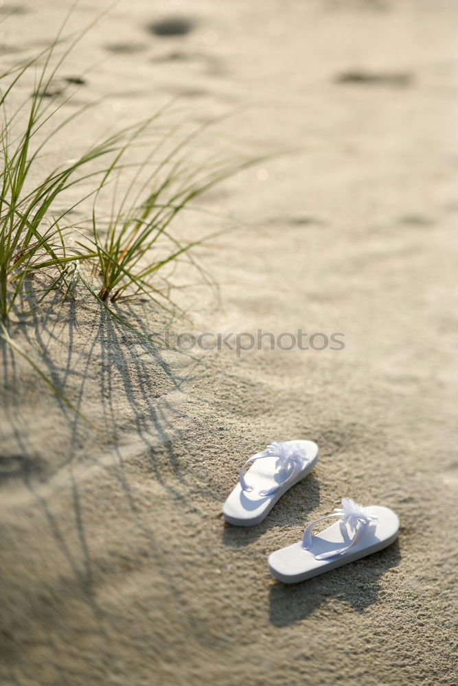 Image, Stock Photo Playing in the water