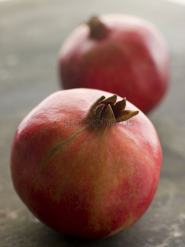 Similar – Image, Stock Photo Apple harvest in autumn garden