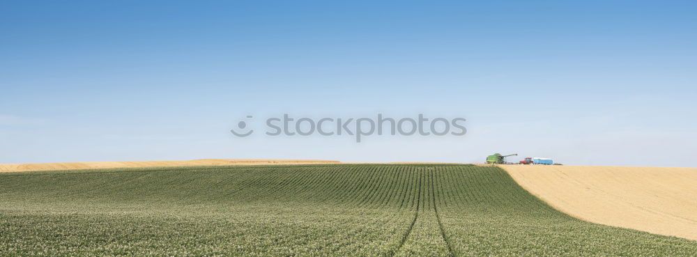 Similar – Himmel Baum Erde Wiese