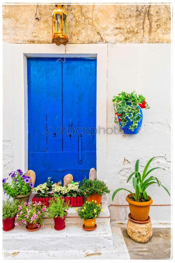 Similar – Image, Stock Photo Rustic flower pots in Cadaques, Spain