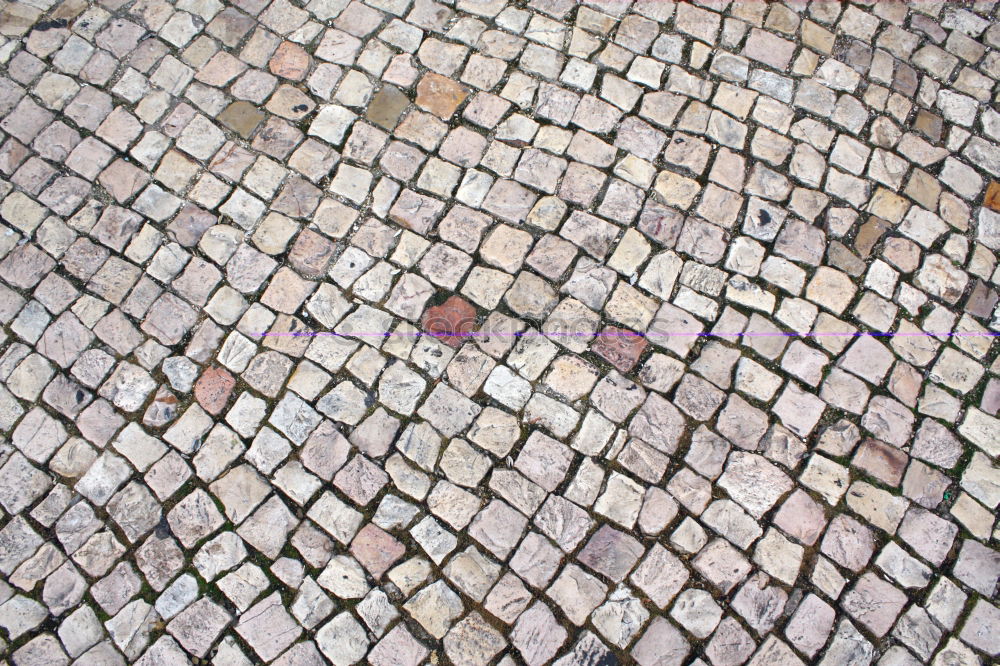 Similar – Aachen Paving Street