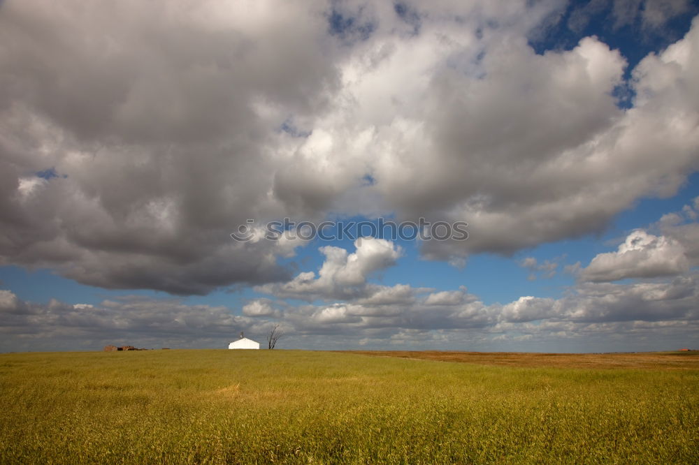 Similar – Image, Stock Photo Westerhever Lighthouse