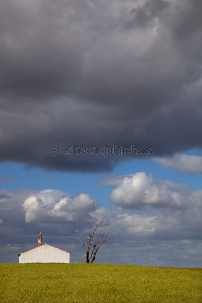 Similar – Image, Stock Photo vault Sky Clouds Grass