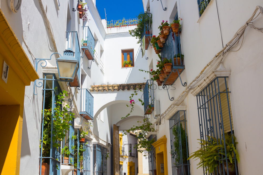 Similar – Image, Stock Photo Rural streets in Cadaques, Spain