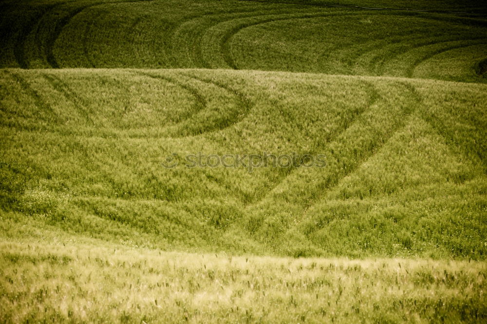 Similar – cyclist Bird’s-eye view