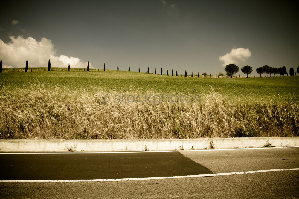 Similar – Image, Stock Photo highway Harmonious