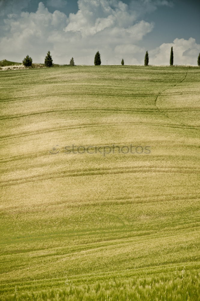 Similar – field away Field Footpath