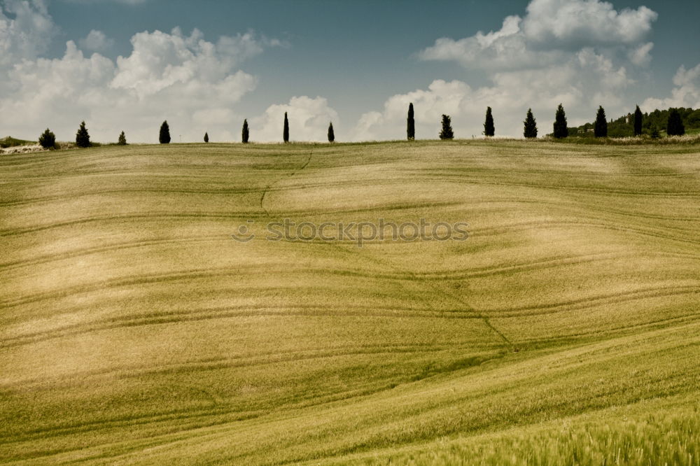 Similar – Val d’Orcia