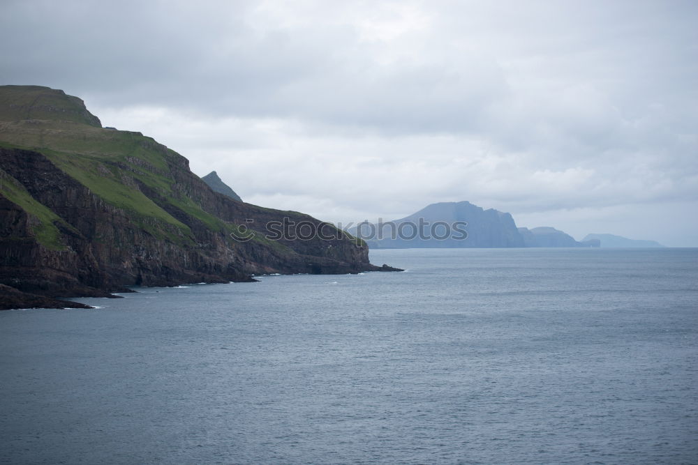 Similar – Ireland Ocean Sheep