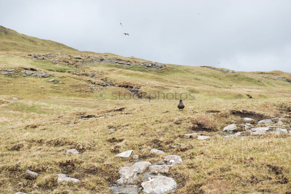 Similar – Foto Bild rough peak Klippe Meer See