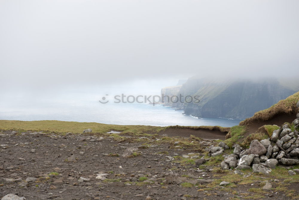 Similar – Rendeer in arctic Eating