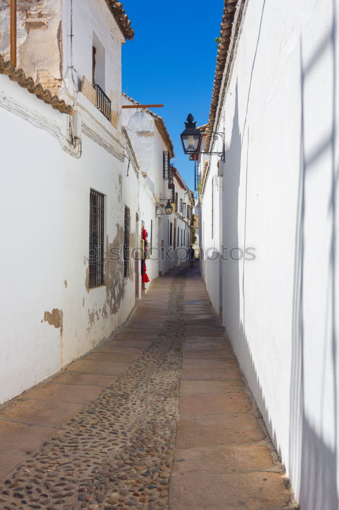 Similar – Image, Stock Photo obidos Nature Sky