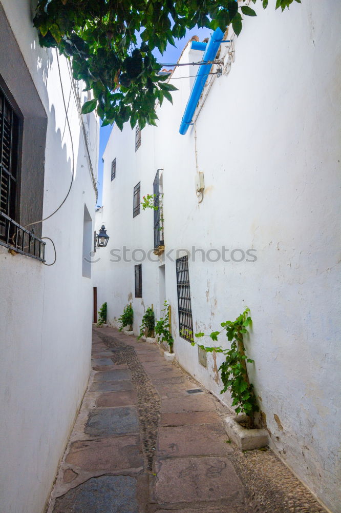 Similar – Image, Stock Photo Kasbah de Oudaïa Rabat