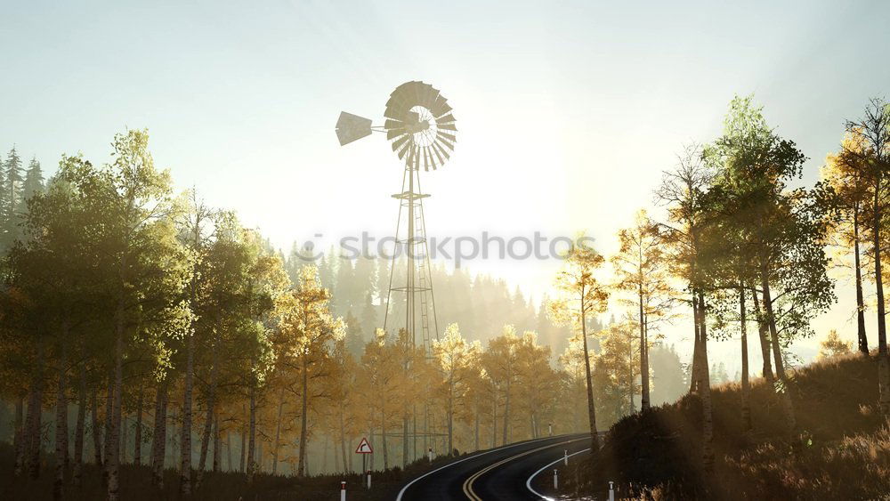 Similar – Image, Stock Photo sunset in the black forest