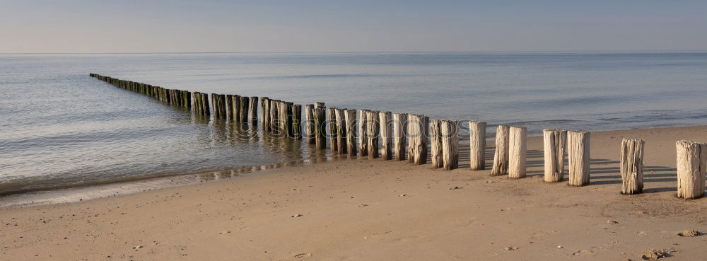 Similar – Long shadows Beach Ocean