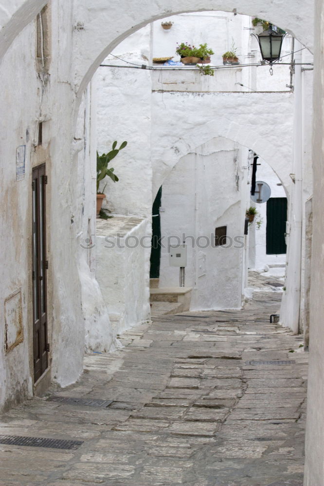 Similar – Image, Stock Photo Kasbah de Oudaïa Rabat