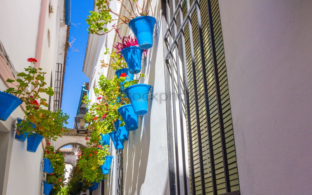 Similar – Image, Stock Photo Narrow street with old buildings