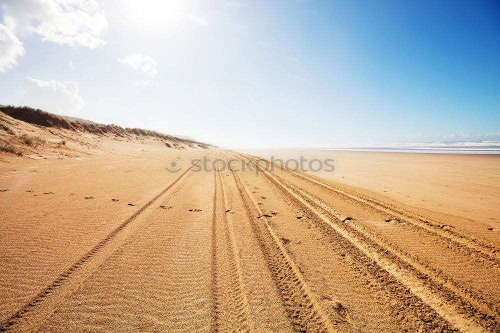 Similar – Image, Stock Photo Dune in Warnemünde at the Baltic Sea coast
