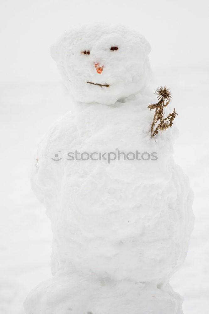 Similar – Image, Stock Photo Snowman in the yard Joy