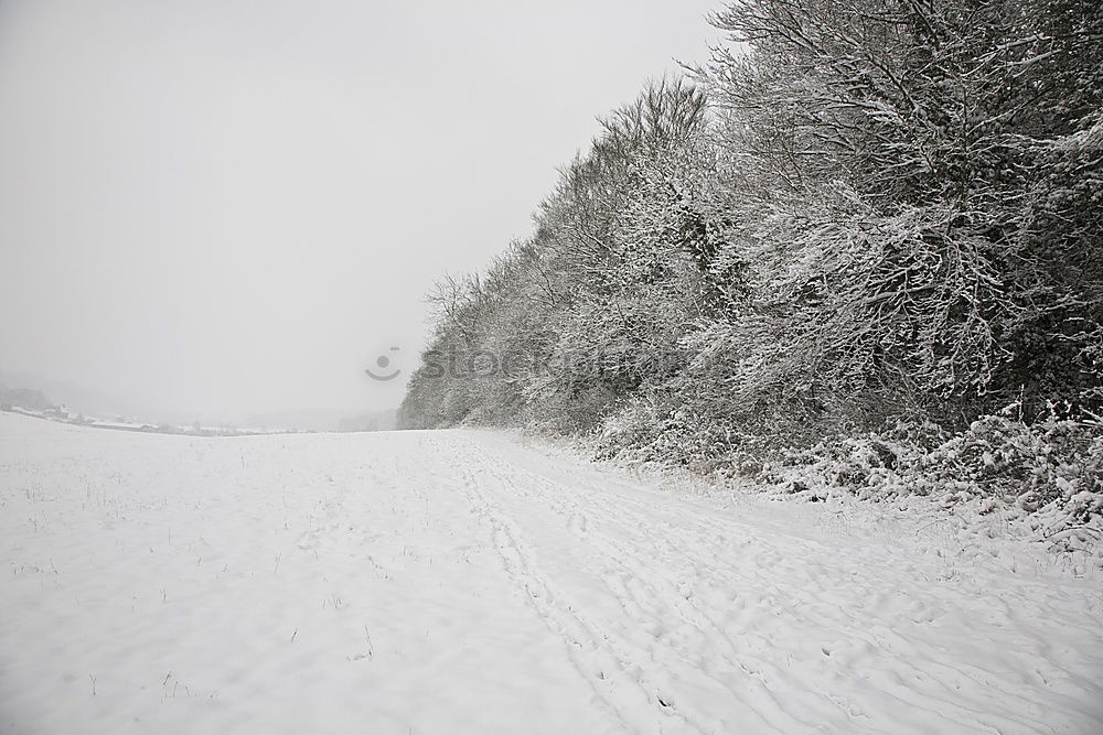 Similar – Foto Bild Schnee weiß Marke Reifen