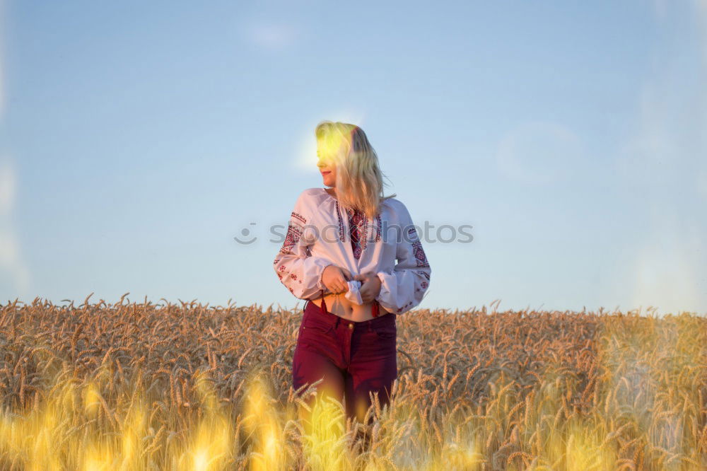 Similar – Image, Stock Photo For you the poppy should bloom…