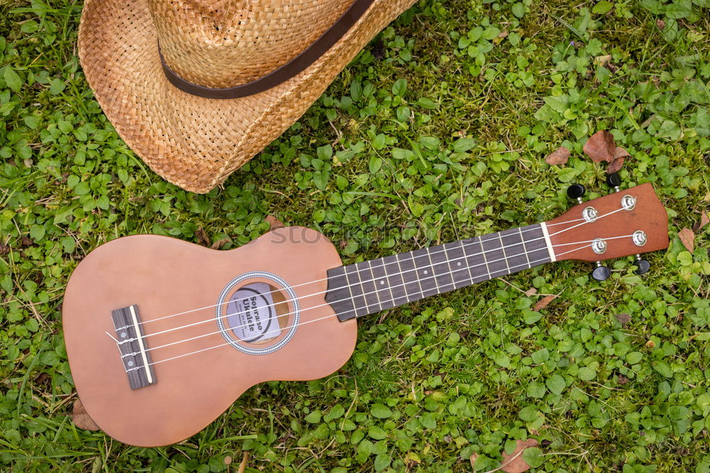 Similar – Image, Stock Photo Acoustic guitar placed on green grass