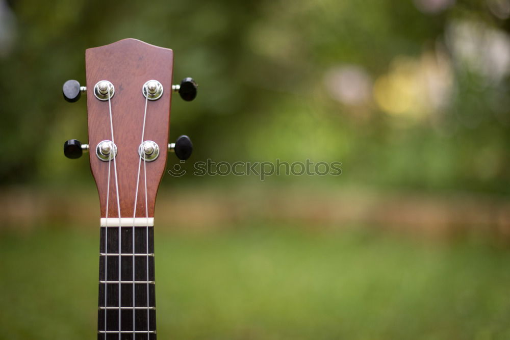 Similar – Image, Stock Photo Acoustic guitar placed on green grass