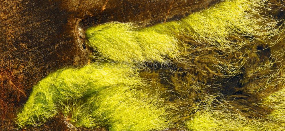 Similar – Fishnets on fish boat. Yellow net.