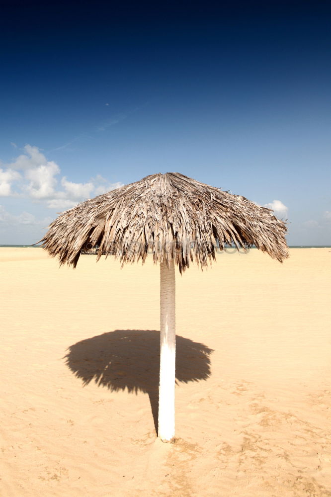 Similar – Lifeguard station on sunny beach