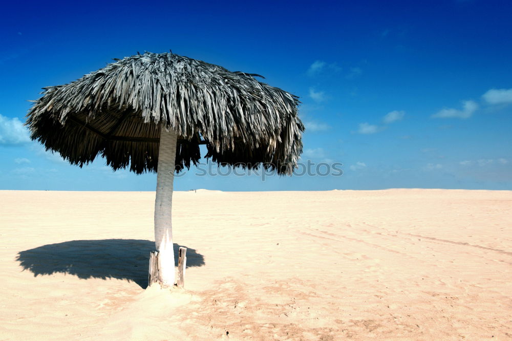 Similar – uniform look at the Baltic Sea beach