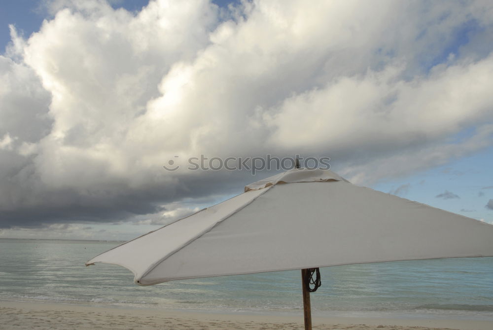 Similar – Image, Stock Photo mauritius and isle Pot