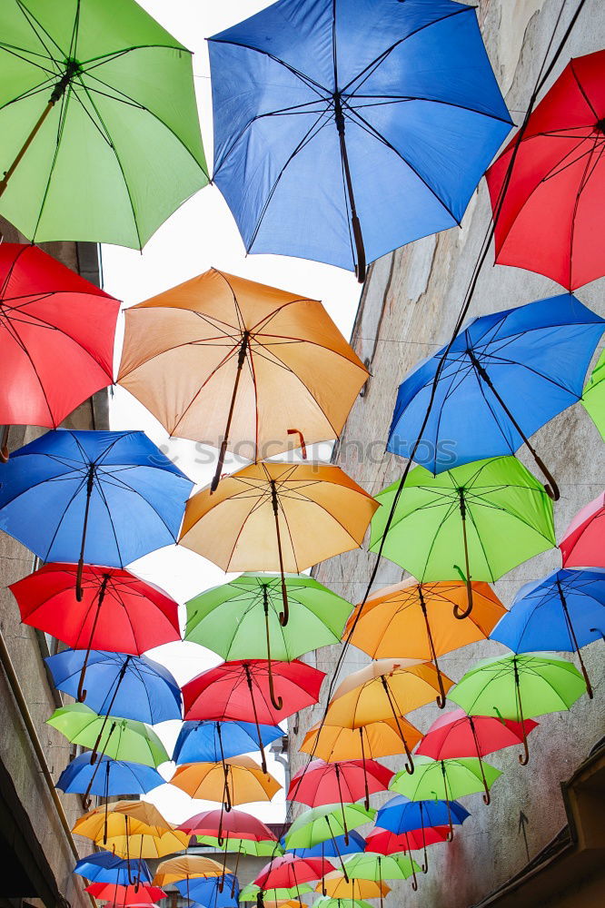 Similar – Image, Stock Photo umbrellas Art Work of art